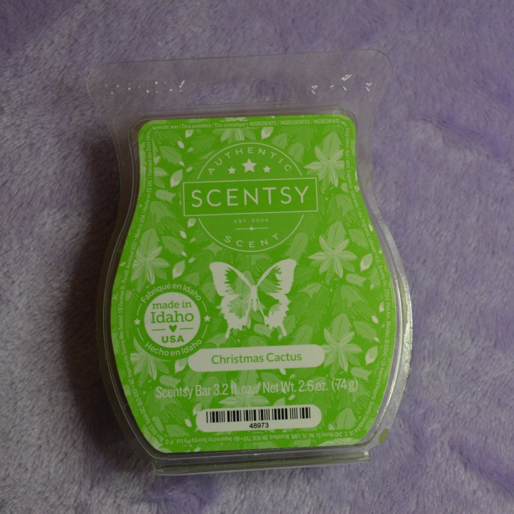 Wax Bar Christmas Cactus